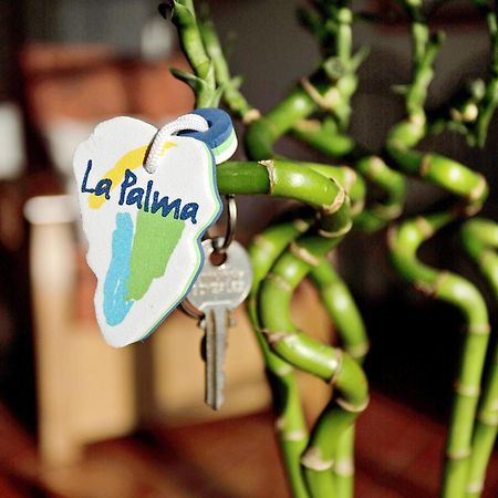 Casita Ariadna 티하라페 외부 사진
